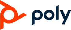 logo_poly